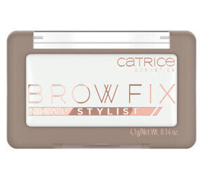 Фиксатор цвета Catrice Brown Fix 010-full and fluffy (4.1 г) цена и информация | Карандаши, краска для бровей | pigu.lt