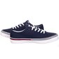 Vyriški sportiniai bateliai Tommy Hilfiger JEANS ESSENTIAL LOW CUT, TAMSIAI MĖLYNI EM0EM00962 C87 44105 kaina ir informacija | Kedai vyrams | pigu.lt