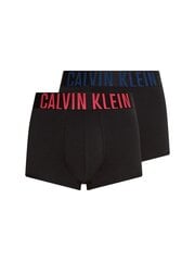 Vyriški trumpikės Calvin Klein, 2 poros, juodos 000NB2602A 1SQ 45087 L kaina ir informacija | Trumpikės | pigu.lt
