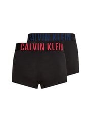 Мужские трусы Calvin Klein, 2 пары, черные 000NB2602A 1SQ 45087 цена и информация | Мужские трусы | pigu.lt