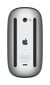 Apple Magic Mouse - Black Multi-Touch Surface - MMMQ3ZM/A kaina ir informacija | Pelės | pigu.lt