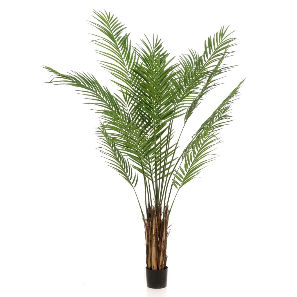 Emerald Dirbtinė palmė Areka, žalios spalvos, 180cm цена и информация | Dirbtinės gėlės | pigu.lt