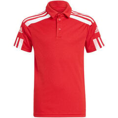 Marškinėliai berniukams Adidas Squadra 21 Polo Jr GP6423 цена и информация | Рубашки для мальчиков | pigu.lt