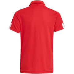 Marškinėliai berniukams Adidas Squadra 21 Polo Jr GP6423 цена и информация | Рубашки для мальчиков | pigu.lt