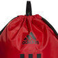 Sportinis maišelis Adidas Power Bag HC7271, raudonas kaina ir informacija | Kuprinės ir krepšiai | pigu.lt