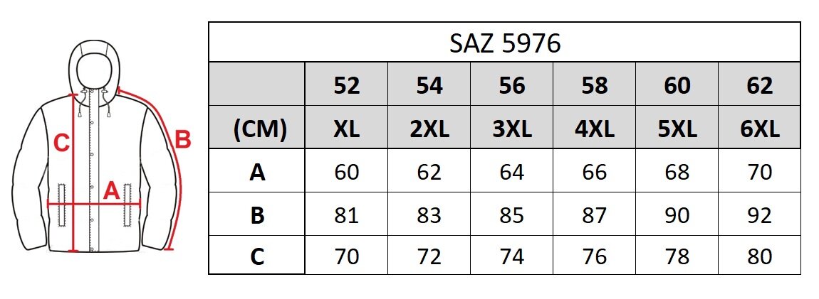 Striukė vyrams Saz 5976 цена и информация | Vyriškos striukės | pigu.lt