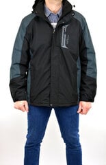 Куртка мужская Qifeng 009, черная цена и информация | Мужские куртки | pigu.lt