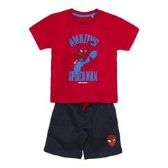 Предметы одежды Spiderman Красный Синий цена и информация | Комплекты для мальчиков | pigu.lt
