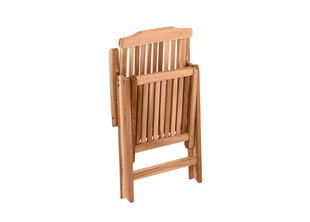 Lauko kėdė Aiatool, ruda kaina ir informacija | Lauko kėdės, foteliai, pufai | pigu.lt