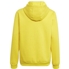 Džemperis vaikams Adidas Entrada 22 Hoody Y Jr HI2142, geltonas kaina ir informacija | Megztiniai, bluzonai, švarkai berniukams | pigu.lt