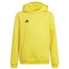 Džemperis vaikams Adidas Entrada 22 Hoody Y Jr HI2142, geltonas цена и информация | Свитеры, жилетки, пиджаки для мальчиков | pigu.lt