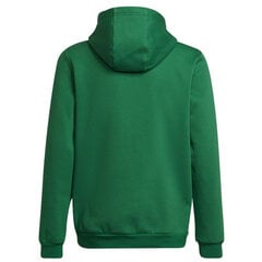 Džemperis vaikams Adidas Entrada 22 Hoody Y Jr HI2143, žalias kaina ir informacija | Megztiniai, bluzonai, švarkai berniukams | pigu.lt