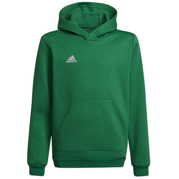 Джемпер для детей Adidas Entrada 22 Hoody Y Jr HI2143, зеленый цена и информация | Свитеры, жилетки, пиджаки для мальчиков | pigu.lt