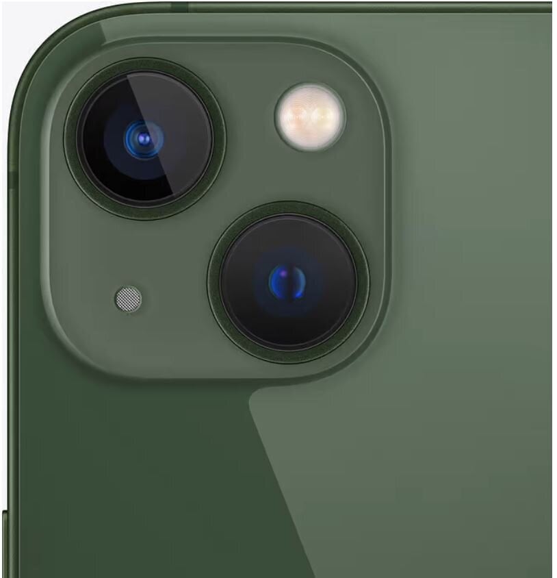 Apple iPhone 13 256GB Green MNGL3ET/A цена и информация | Mobilieji telefonai | pigu.lt