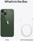 Apple iPhone 13 512GB Green MNGM3ET/A цена и информация | Mobilieji telefonai | pigu.lt