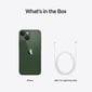 Apple iPhone 13 mini 256GB Green MNFG3ET/A цена и информация | Mobilieji telefonai | pigu.lt