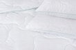Wendre antklodė Aloe Vera, 160x200 cm kaina ir informacija | Antklodės | pigu.lt