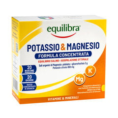 Maisto papildas Equilibra Potassium & Magnesium, 20 pakelių цена и информация | Другие пищевые добавки и препараты | pigu.lt