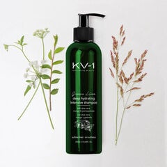 Увлажняющий шампунь для волос KV-1 Anti-Aging Beauty Green Line Deep Hydrating Intensive Shampoo, 250 мл цена и информация | Шампуни | pigu.lt