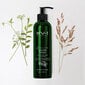 Plaukų šampūnas KV-1 Anti-Aging Beauty Green Line Total Sealer Shampoo, 250 ml цена и информация | Šampūnai | pigu.lt