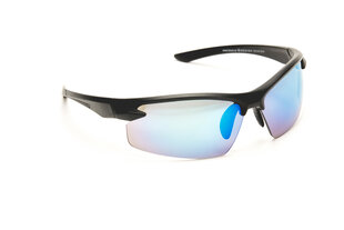 Солнцезащитные очки Granite, 212212-13 цена и информация | Солнцезащитные очки для мужчин | pigu.lt