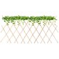 Tvorelė vijokliniams augalams ProGarden, 180x70 cm kaina ir informacija | Tvoros ir jų priedai | pigu.lt