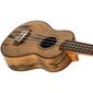 Soprano ukulelė Flight DUS430 (Dao) kaina ir informacija | Gitaros | pigu.lt