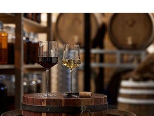 Raudono vyno taurės, 2 vnt., 400 ml цена и информация | Стаканы, фужеры, кувшины | pigu.lt