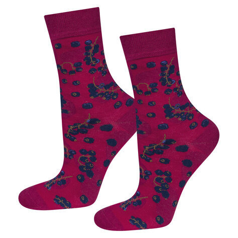Kojinės moterims Soxo stiklainyje kaina ir informacija | Moteriškos kojinės | pigu.lt