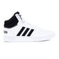 Laisvalaikio batai vyrams Adidas Hoops 3.0 Mid M GW3019, balti kaina ir informacija | Kedai vyrams | pigu.lt