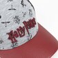 Vaikiška kepurė Harry Potter (53 cm) S0730825, įvairių spalvų kaina ir informacija | Kepurės, pirštinės, šalikai berniukams | pigu.lt