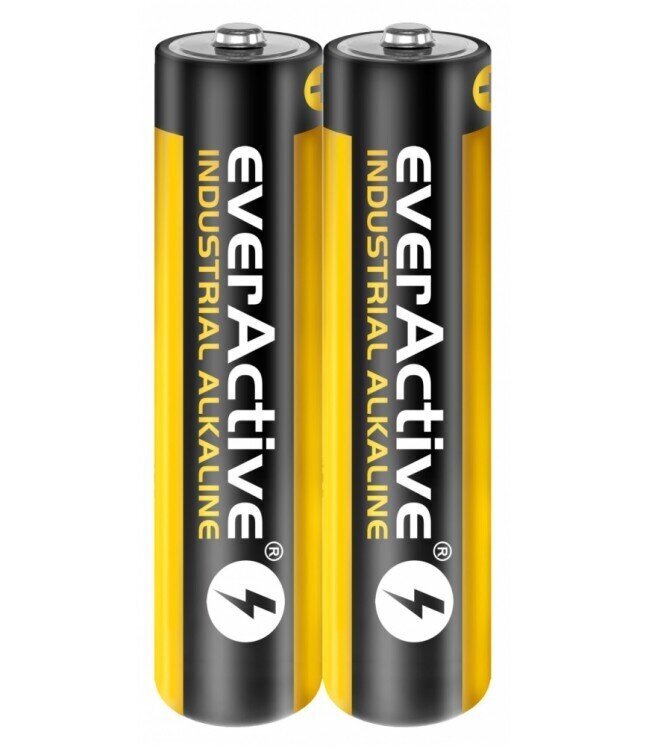 AAA baterijos EverActive Industrial Alkaline LR03 2vnt. kaina ir informacija | Elementai | pigu.lt