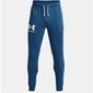 Sportinės kelnės vyrams Under Armor Rival Terry Jogger Pants M 1361642459, mėlynos цена и информация | Sportinė apranga vyrams | pigu.lt