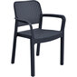 Lauko kėdė Keter Samanna, ruda kaina ir informacija | Lauko kėdės, foteliai, pufai | pigu.lt