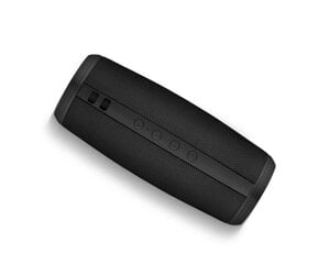 Niceboy RAZE 2 Ego Bluetooth 5.0 Беспроводная колонка FM / Aux / USB / Micro SD / 12W цена и информация | Аудиоколонки | pigu.lt