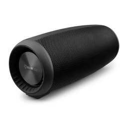 Niceboy RAZE 2 Ego Bluetooth 5.0 Беспроводная колонка FM / Aux / USB / Micro SD / 12W цена и информация | Аудиоколонки | pigu.lt