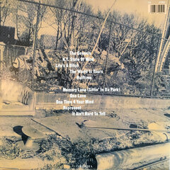 Виниловая пластинка Nas - Illmatic, LP, 12" vinyl record цена и информация | Виниловые пластинки, CD, DVD | pigu.lt