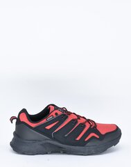 Спортивная обувь для мужчин TARELO 11910931.46 цена и информация | Кроссовки мужские | pigu.lt