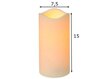 LED elektrinė žvakė Paul 15 cm kaina ir informacija | Žvakės, Žvakidės | pigu.lt