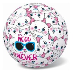 Kamuolys Star It's Meow or Never, baltas / rožinis 23 cm kaina ir informacija | Pripučiamos ir paplūdimio prekės | pigu.lt