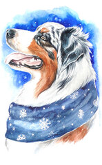 Deimantinė mozaika 20x30 cm Winter dog kaina ir informacija | Deimantinės mozaikos | pigu.lt