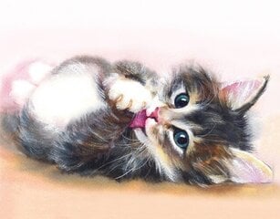 Deimantinė mozaika 40x50 cm Cute kitten kaina ir informacija | Deimantinės mozaikos | pigu.lt