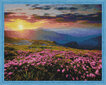 Deimantinė mozaika 40x50 cm Blooming field at sunset kaina ir informacija | Deimantinės mozaikos | pigu.lt