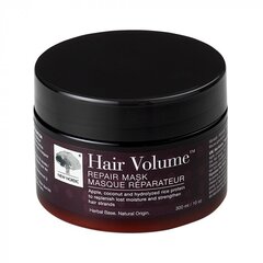 Atkuriamoji plaukų kaukė Hair Volume repair New Nordic, 300 ml kaina ir informacija | Priemonės plaukų stiprinimui | pigu.lt