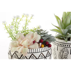 Dekoratyvinis augalas DKD Home Decor, 12 x 12 x 18 cm, 2 vnt kaina ir informacija | Dirbtinės gėlės | pigu.lt