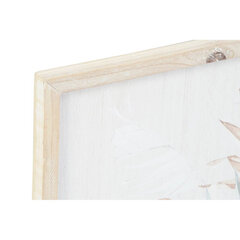 Картина DKD Home Decor 39 x 2 x 48 cm Кувшин Скандинавский (2 штук) цена и информация | Репродукции, картины | pigu.lt