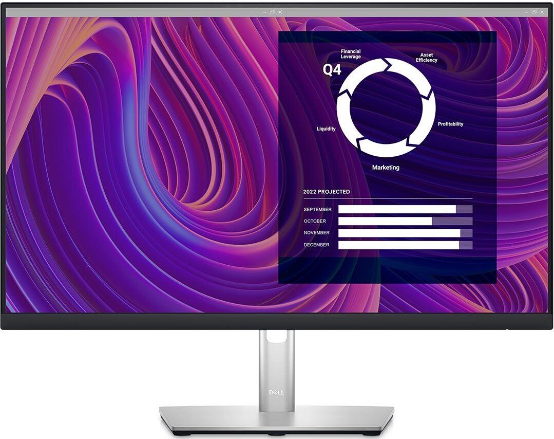 LCD Monitor|DELL|P2423D|23.8"|Panel IPS|2560x1440|16:9|60 Hz|Matte|5 ms|Swivel|Height adjustable|Tilt|210-BDEG цена и информация | Monitoriai | pigu.lt