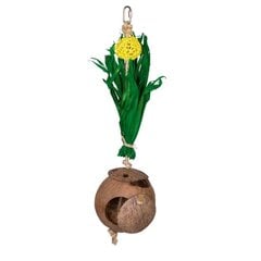 Žaislas paukščiams kokoso namelis su lapais, 43x11,5 cm цена и информация | Скворечники, кормушки, клетки | pigu.lt