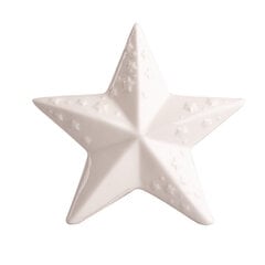 Porcelianinė figūrėlė žvaigždė, 13x5,5x12 cm kaina ir informacija | Interjero detalės | pigu.lt