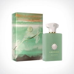 Парфюмированная вода Amouage Меандр EDP для женщин/мужчин, 100 мл цена и информация | Женские духи | pigu.lt